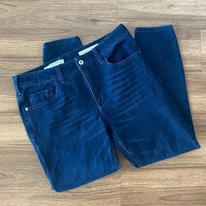 Anthropologie Pilcro High Rise Denim Legging